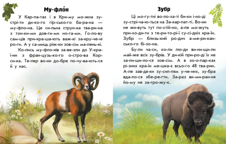 Читаю про Україну. Тварини гір 3.jpg