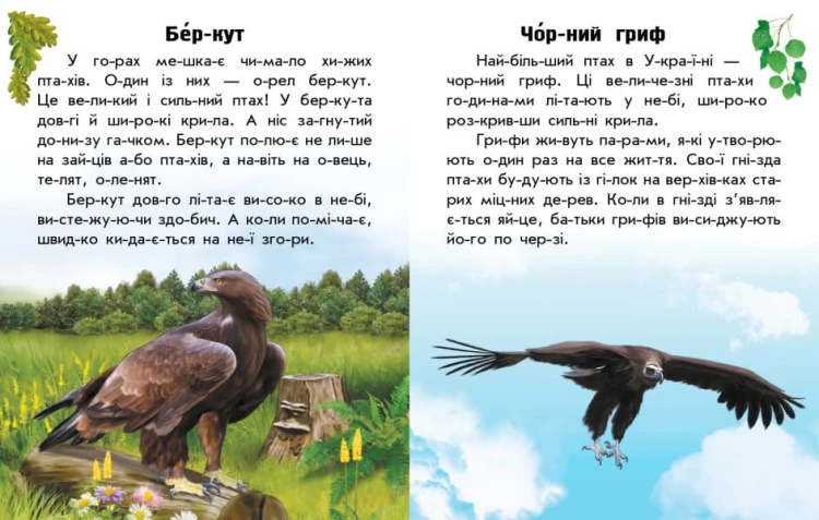 Читаю про Україну. Тварини гір 4.jpg