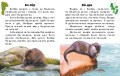 Читаю про Україну. Тварини річок та морів2.jpg