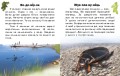 Читаю про Україну. Тварини річок та морів3.jpg