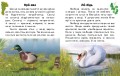 Читаю про Україну. Тварини річок та морів4.jpg