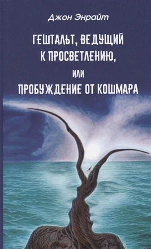 12.webp
