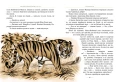 Мауглі45.webp