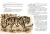Мауглі45.webp