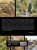 Рисуем по фотографии. Акварельные техники