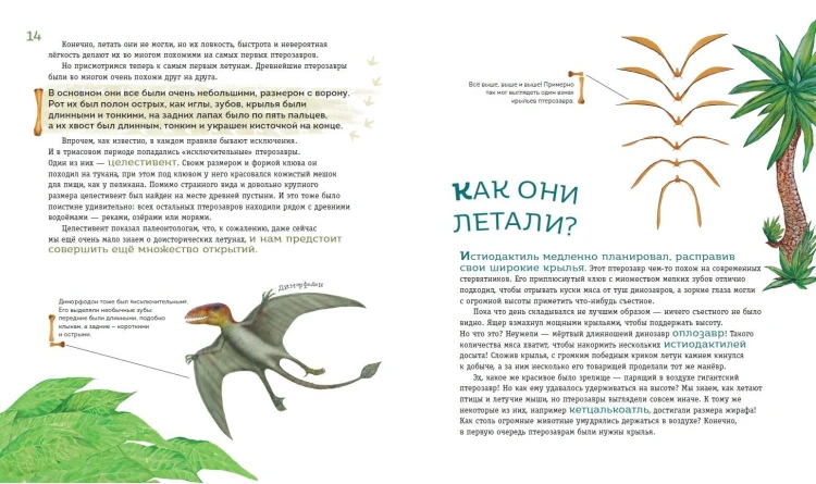 Крылатые, но не динозавры