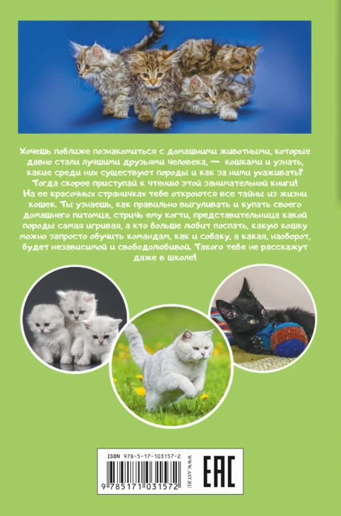 Кошки и котята