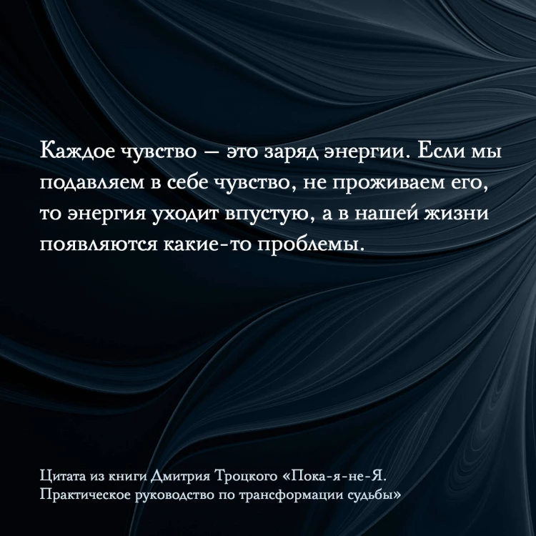 Пока-я-не-Я. Практическое руководство по трансформации судьбы. Подарочное издание