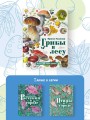 Грибы в лесу