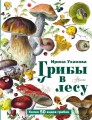 Грибы в лесу
