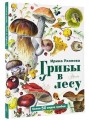 Грибы в лесу