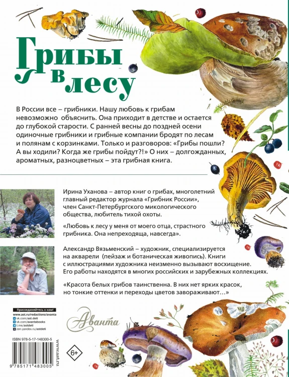 Грибы в лесу