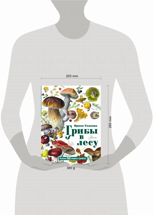 Грибы в лесу