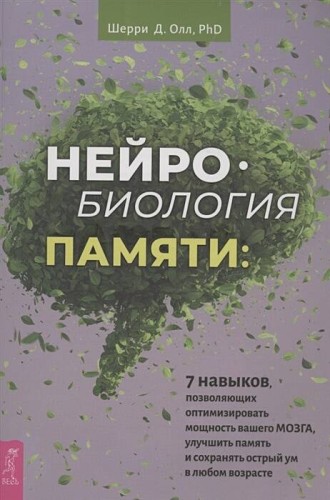 Нейробиология памяти: 7 навыков, позволяющих оптимизировать мощность вашего мозга