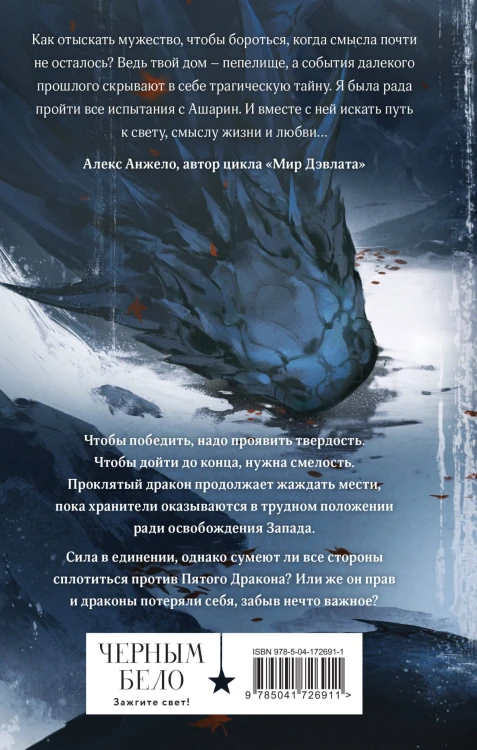 Комплект из двух книг (Двойник Запада и Пятый дракон)