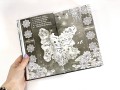 Комплект из двух книг (Двойник Запада и Пятый дракон)