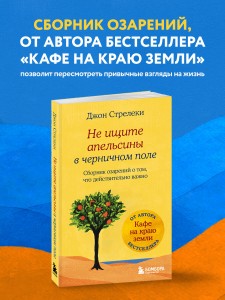 Не ищите апельсины в черничном поле. Сборник озарений о том, что действительно важно #1