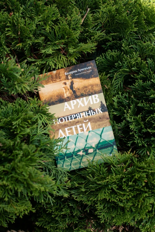 Архив потерянных детей