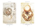 Формула да Винчи. 7 ключей к гениальности