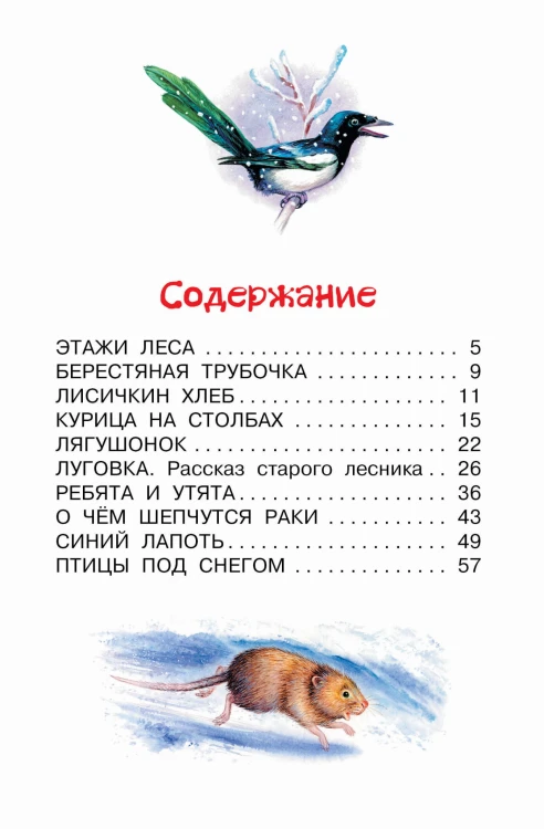 Лисичкин хлеб. Рассказы