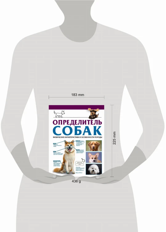 Определитель собак. Физические характеристики и особеннности породы