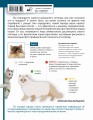 Определитель кошек. Физические характеристики и особенности породы