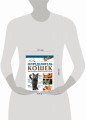 Определитель кошек. Физические характеристики и особенности породы