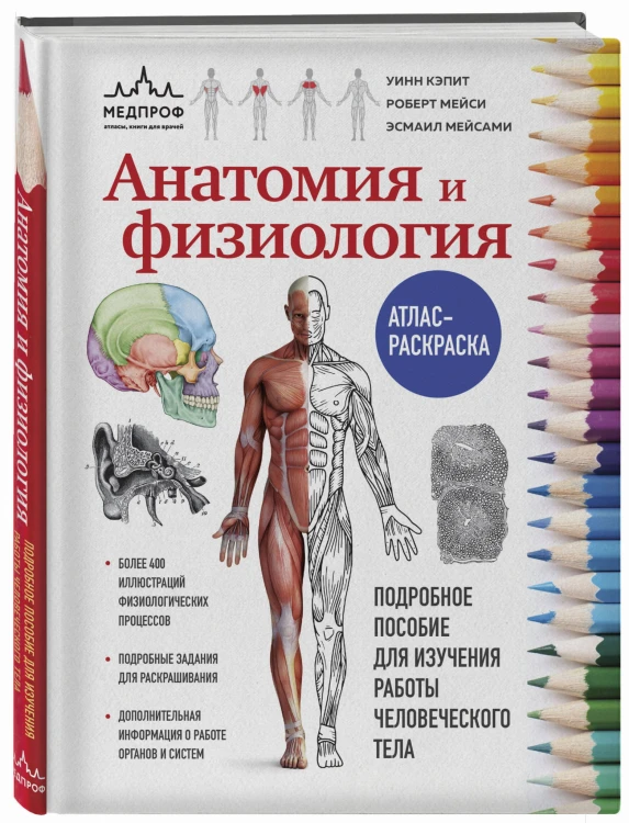 Анатомия и физиология. Атлас-раскраска