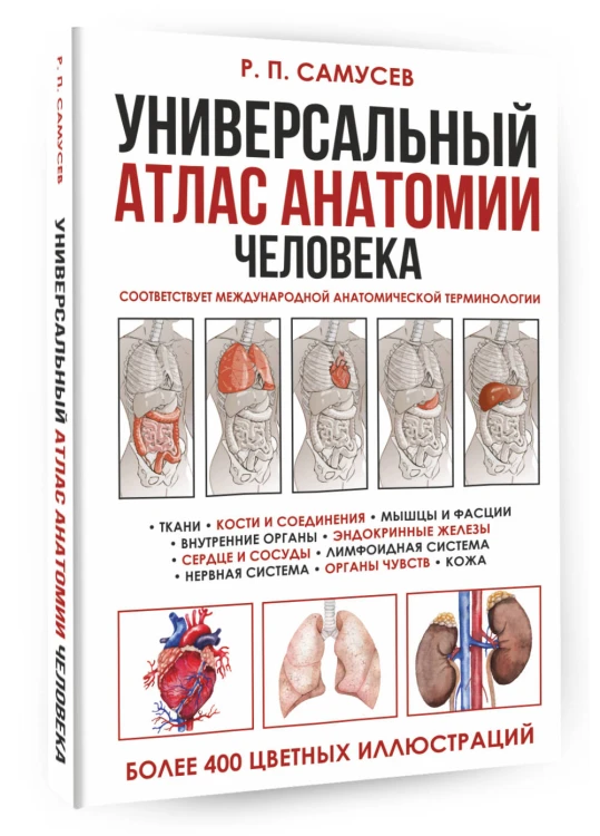 Универсальный атлас анатомии человека с цветными иллюстрациями