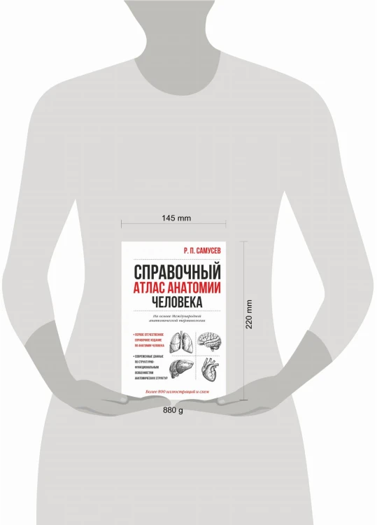 Справочный атлас анатомии человека