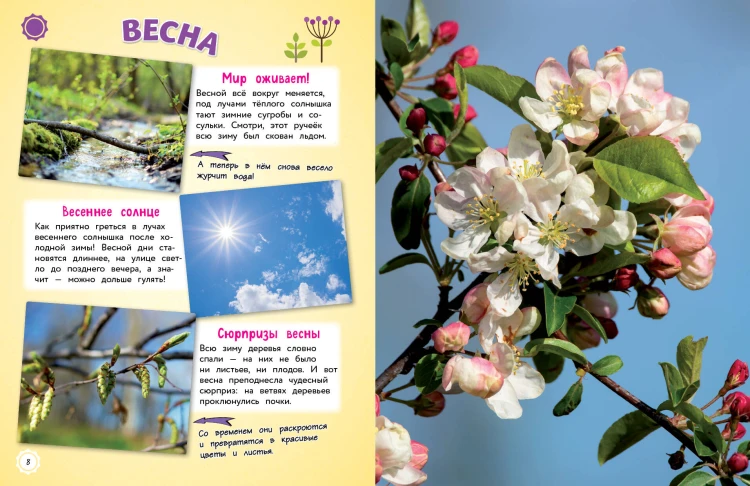 Природа. Большая энциклопедия для маленьких