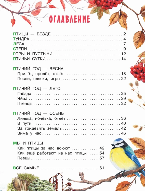 Наши птицы