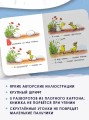 Цыпленок и утенок