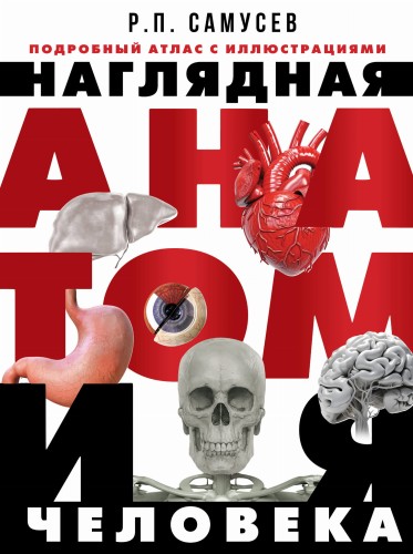 Наглядная анатомия человека. Подробный атлас с иллюстрациями