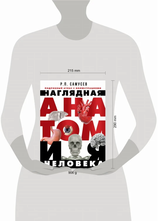 Наглядная анатомия человека. Подробный атлас с иллюстрациями