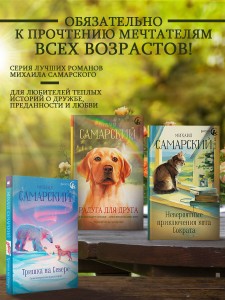 Приключения Пульхерии в виртуальном мире. Противостояние.