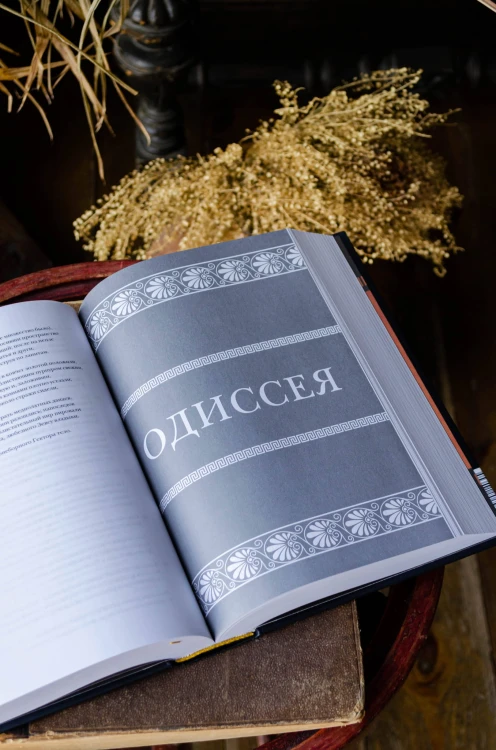 Илиада. Одиссея