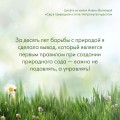 Сад в природном стиле. Нетронутая красота
