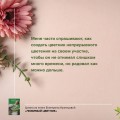 Любимый цветник. Простые шаги для создания декоративного сада