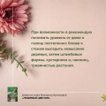Любимый цветник. Простые шаги для создания декоративного сада