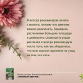 Любимый цветник. Простые шаги для создания декоративного сада