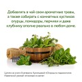 Огород на подоконнике. Идеальный урожай не выходя из дома