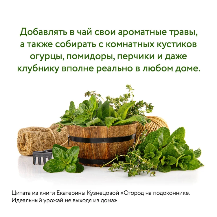 Огород на подоконнике. Идеальный урожай не выходя из дома