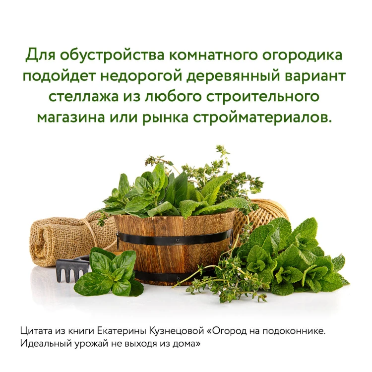 Огород на подоконнике. Идеальный урожай не выходя из дома