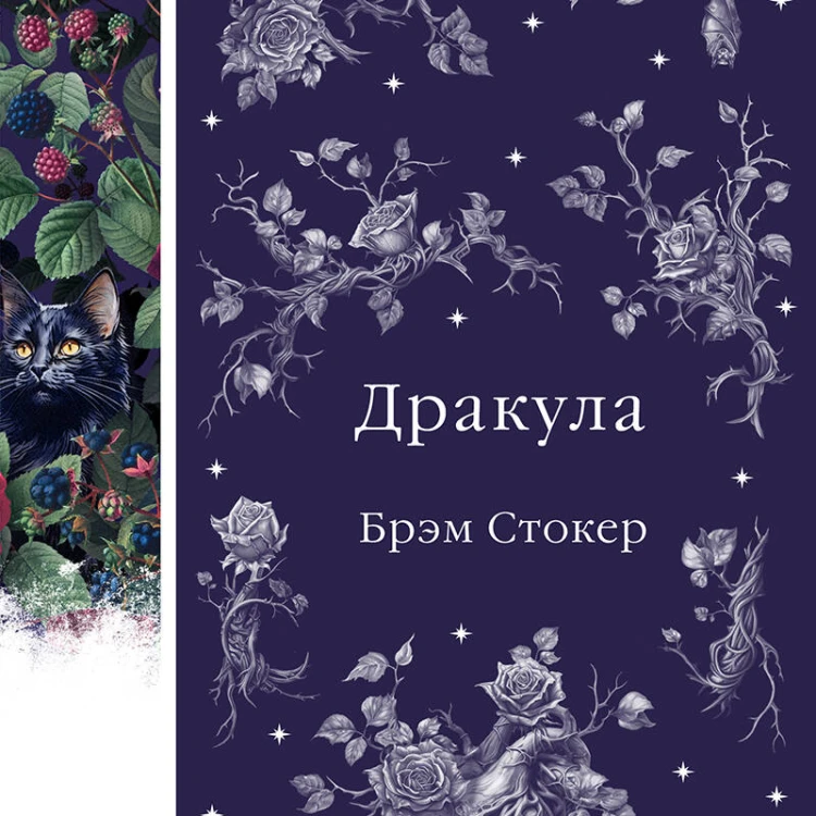 Дракула