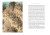 Конармия. Одесские рассказы (иллюстр. Ломаева А.)