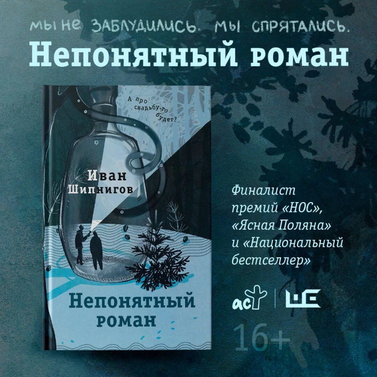 Непонятный роман