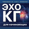 Эхокардиография для начинающих. Суть гемодинамических нарушений, позиции для анализа, определение тяжести порока
