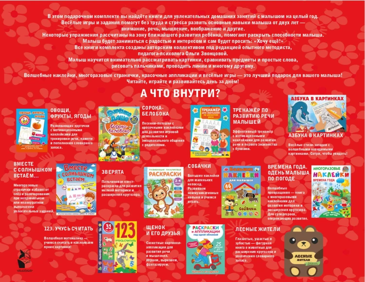 Годовой курс занятий 2+. Набор из 11 книг