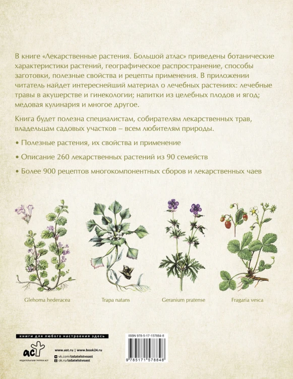 Лекарственные растения. Большой атлас